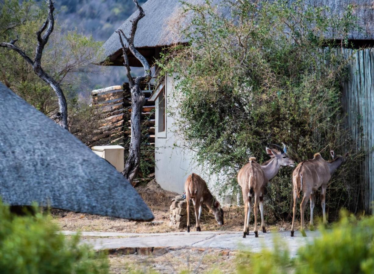 Lodge Lions Valley *